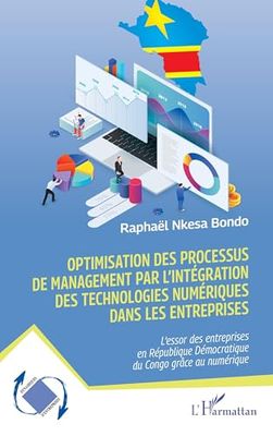 Optimisation des processus de management par l’intégration des technologies numériques dans les entreprises: L’essor des entreprises en République Démocratique du Congo grâce au numérique