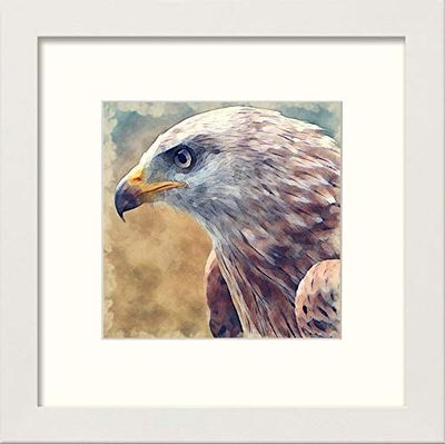 Lumartos, Eagle Contemporary Home Decor Wall Art Watercolour Print, White Frame, 14 x 14 Inches