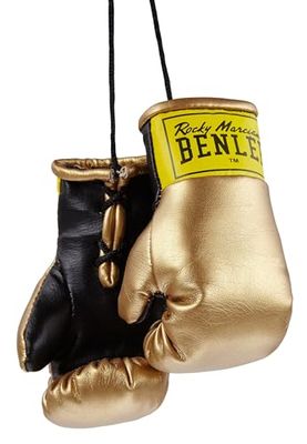 BENLEE Rocky Marciano unisex miniatyrboxningshandskar, guld, en storlek EU