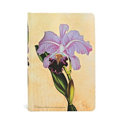 PAINTED BOTANICALS BRAZILIAN ORCHID MINI