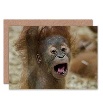 Wee Blue Coo CARD GREETING BIRTHDAY YOUNG ORANG UTAN GIFT