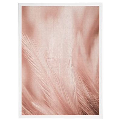 Arterby's® - Premium Poster Quadro Cornice Tela Canvas Dipinto Mood -Illustrazione Piante e Fiori Moderni - Made in Italy - HD Tela con Cornice Semplice Bianca 40x50 cm A0031 D0016