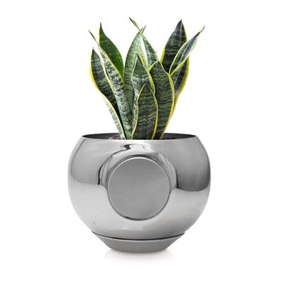 MagPot Maceta magnética, Maceta única para Hierbas, suculentas, vegetación Interior y Exterior, Accesorio magnético Autoadhesivo, Agujeros de Drenaje, depósito Desmontable, Color Plateado