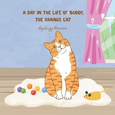 A Day in the Life of Buddy, the Orange Cat