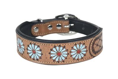 Dog Collar Halsband M 13-17 Inches