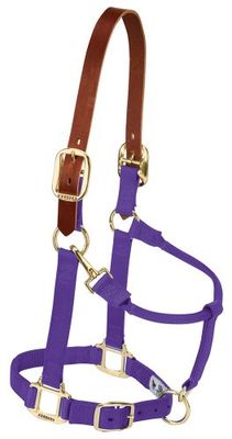 Weaver Leather, Cavezza Regolabile in Nylon per Cavallo, Viola, per svezzamento/Pony