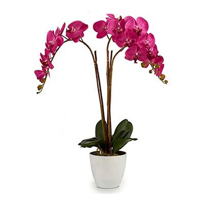 Ibergarden S3603053 Pot de Fleurs Fuchsia