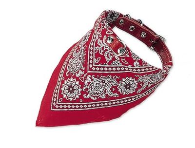 Nobby Collier avec Foulard pour Chien Rouge 40 cm