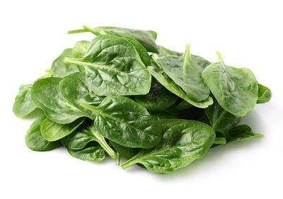Semillas Espinaca Monstruosa de Viroflay de Fácil Germinación Planta de Uso Culinario