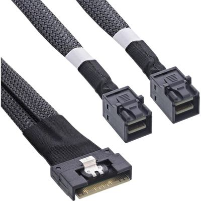 InLine Câble SAS Slim SFF-8654 8i vers 2 x SFF-8643 0,5 m 27648A