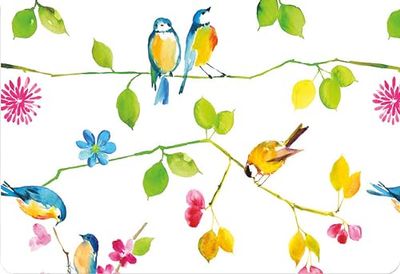 Watercolor Birds Note Cards (Boxed Cards, Stationery)