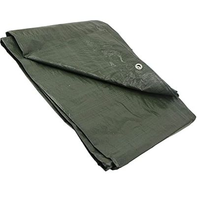 GARDENIX Multifunktionell skyddspresenning grön 90 g/m² (8 m x 12 m)