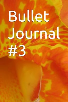 Bullet Journal 3