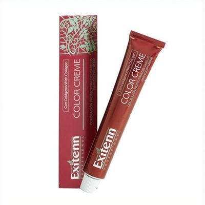 Exitenn Tintura Permanente Colore Creme 60 ml N. 93-ex