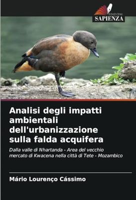 Analisi degli impatti ambientali dell'urbanizzazione sulla falda acquifera: Dalla valle di Nhartanda - Area del vecchio mercato di Kwacena nella città di Tete - Mozambico