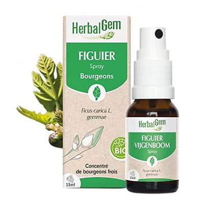 HerbalGem - Macérât-Mère - Spray Figuier Bio - Complément Alimentaire Gemmothérapie Concentrée - Extrait de Bourgeon Frais - pour Digestion - Vegan - Format Nomade, Simple et Pratique - 15 ml