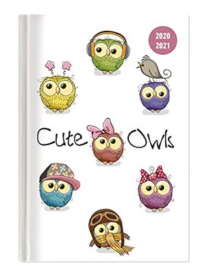 Collegetimer Cute Owls A5 2020/2021