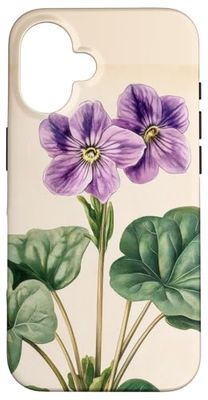 Pianta dell'illustrazione scientifica dell'annata viola africana Custodia per iPhone 16