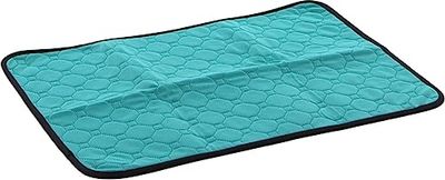 Flamingo Tapis d'entrainement Lavable Patsy Vert S ANTIDERAPANT 54x38CM