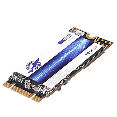 Dogfish SSD M.2 2242 1To Ngff Ordinateurs De Bureau à l'intérieur De l'actionneur à SolideDe Haute Performance De Lecteur De Disque Dur Comprend Un SSD 120Go 240Go 250Go 480Go 500Go(1To, M.2 2242)