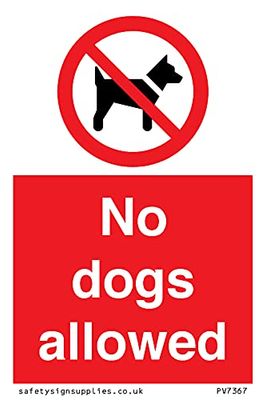 No dogs allowed