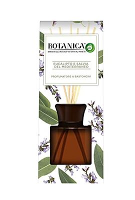 Airwick Botanique, Parfum d'ambiance avec diffuseur à bâtonnets Parfum Eucalyptus & Sauge de la Méditerranée, Parfum Naturel, Boîte de 80 ml