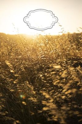 Notebook campo di grano 100 pages squared paper A5 A5 - 6x9 pollici - 21 x 14,8 cm