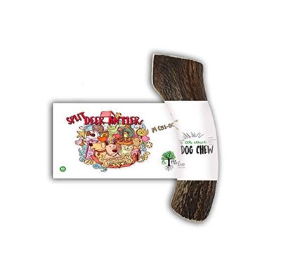 JACK AND VANILLA, Jouet à mâcher Naturel en Bois pour Chiens, Durable et sain, réduit Le tartre, idéal pour Chiens Moyens, 100% Naturel, 51-80g, Cerf Brisé, Modèle All Nature