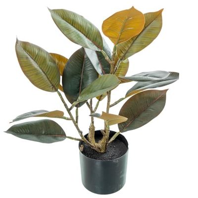 Alexandra House Living Plante décorative en Plastique chêne 50 cm