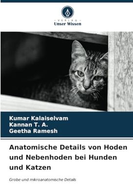 Anatomische Details von Hoden und Nebenhoden bei Hunden und Katzen: Grobe und mikroanatomische Details