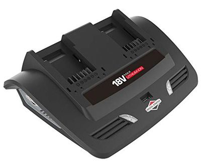 Briggs & Stratton 1697084 18V Twin Charger for Battery
