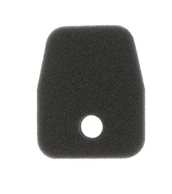 Greenstar 5819 Filtre à air pour Tas Tanaka HTD2526PF/HTD2530PF/HTS2530PF 57 x 47 x 12 mm, Noir