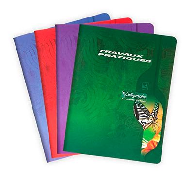 Calligraphe 2592C – een praktisch knutselschrift (serie 7000 van Clairefontaine), 96 pagina's, 17 x 22 cm, grote ruiten, 70 g en eenkleurige pagina's, 90 g, omslag offsetkaart, kleur willekeurig