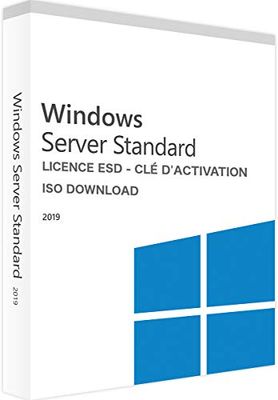 Microsoft Software Wind Servidor 2019 STD 64Bits FR (P73-07789) *5628