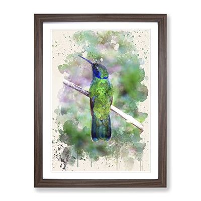 Hummingbird Bird 3 Modern Fc Framed Wall Art Print, Ready to Hang Picture for Living Room Bedroom Home Office Décor, Walnut A3 (34 x 46 cm)