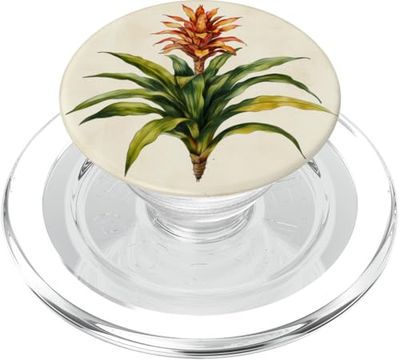 Planta de ilustración científica vintage de bromelia PopSockets PopGrip para MagSafe