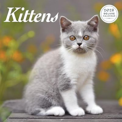 Kitten 2025 Deluxe Calendar