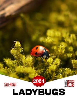 Calendar 2024: A Year of Timeless Moments with Ladybugs, Celebrate Every Month with Stunning Images and Unreleased Details about Memorable Trips