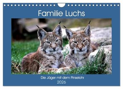 Familie Luchs - Die Jäger mit dem Pinselohr (Wandkalender 2026 DIN A4 quer), CALVENDO Monatskalender: Im Leben einer Luchsfamilie