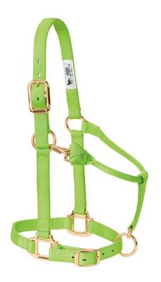 Weaver Leather Originele Verstelbare Nylon Horse Halter, Gemiddeld Paard, Lime