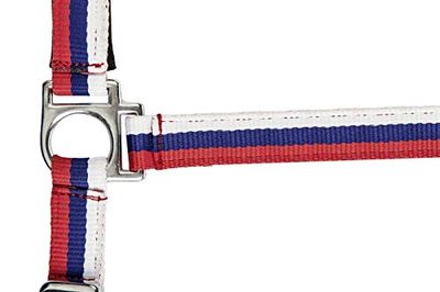 HKM av2022-HKM-nylon Fondina Flags con moschettone-b1bd13f5 Cavezza, Flagge Russland-7911, Mais