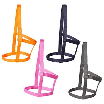 PFIFF Joky 102920 Licol de pâturage en Osier sans ferrures en Nylon Gris Poney