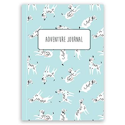 Paper Themes AMNA4006 notebook