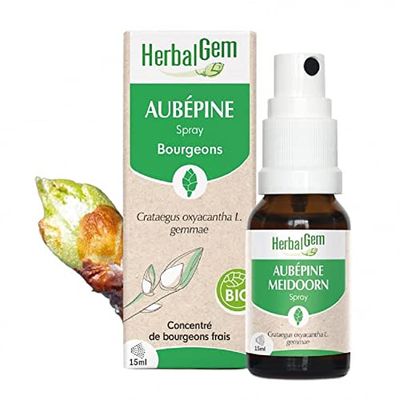 HerbalGem - Macérât-Mère - Spray aubépine Bio - Complément Alimentaire Gemmothérapie Concentrée - Extrait de Bourgeon Frais - pour Circulation Sanguine - Format Nomade, Simple et Pratique - 15 ml