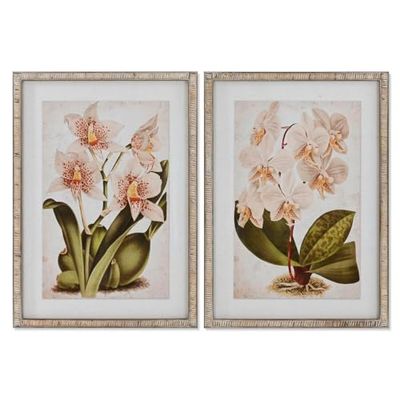 Home ESPRIT Tropische afbeelding orchidee 50 x 2,5 x 70 cm (2 stuks)