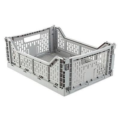 Organizer växter