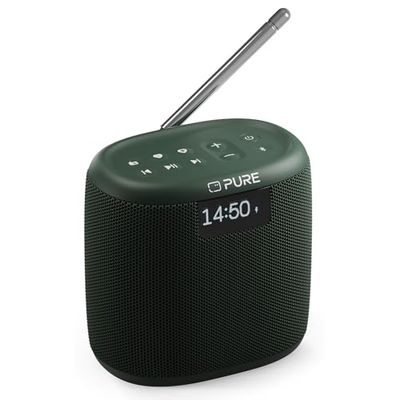 Pure Woodland Enceinte Portable Mini, Haut-Parleur Bluetooth avec Radio Dab+/FM (étanche IP67, Batterie 17h - Parfait pour Le Jardin et Le Camping) Vert