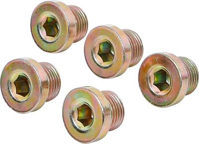 BGS 126-SM17 | Parafusos de drenagem de óleo, para BGS 126 | M17 x 1,5 mm, 5 peças