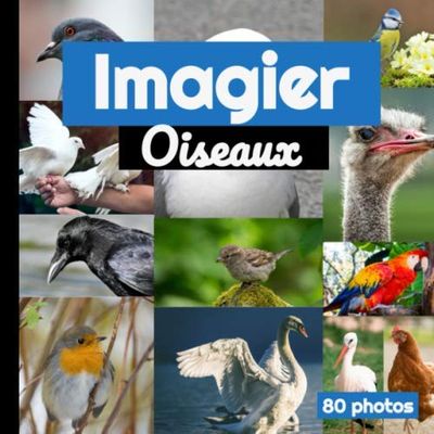 Imagier Oiseaux: Imagier pour enfants - 20 oiseaux illustrés en couleurs (photos) - Je découvre mes premiers oiseaux - Format carré (21,6 cm x 21,6 cm)