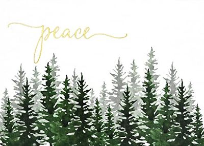 Winter Evergreens Deluxe Boxed Holiday Cards (20 cards, 21 self-sealing envelopes)